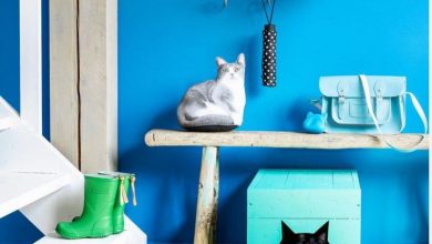 evde kedi tuvalet kutusunu koymak için yerler