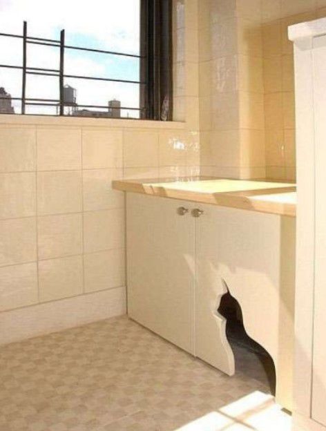 evde kedi tuvaletini saklamak için fikirler