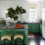 yeşil mutfak dolapları dekorasyon fikirleri