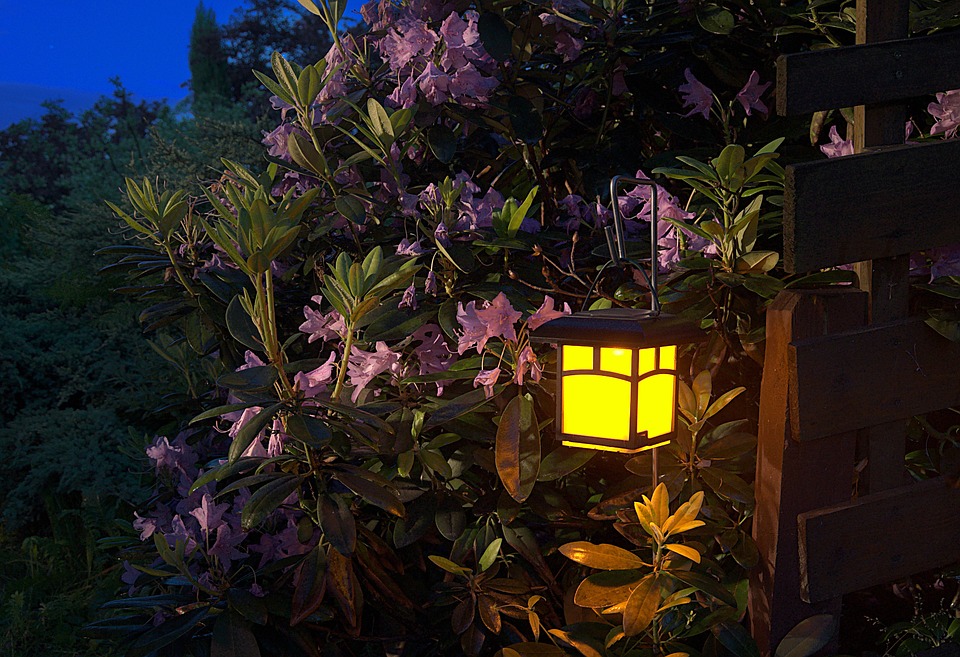 Bahçe Ağaç Işıkları