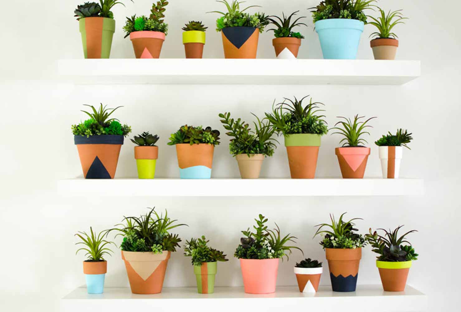 Evinizde yetiştirebileceğiniz bitkiler