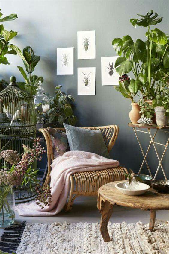 bitkiler ile doğal ev dekorasyonu