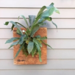 duvara asmak için yapay bitki