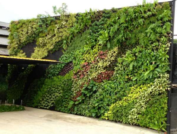 duvarı yapay bitki kullanımı