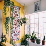 sarı duvarı bitkiler ile karıştırmak