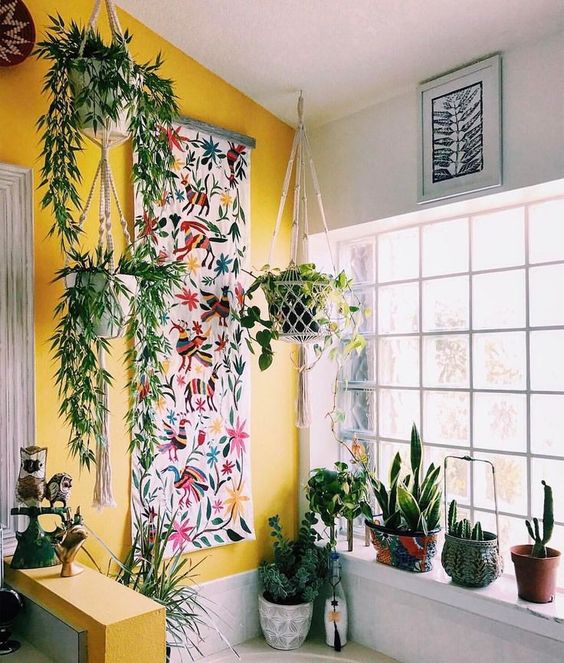 sarı duvarı bitkiler ile karıştırmak
