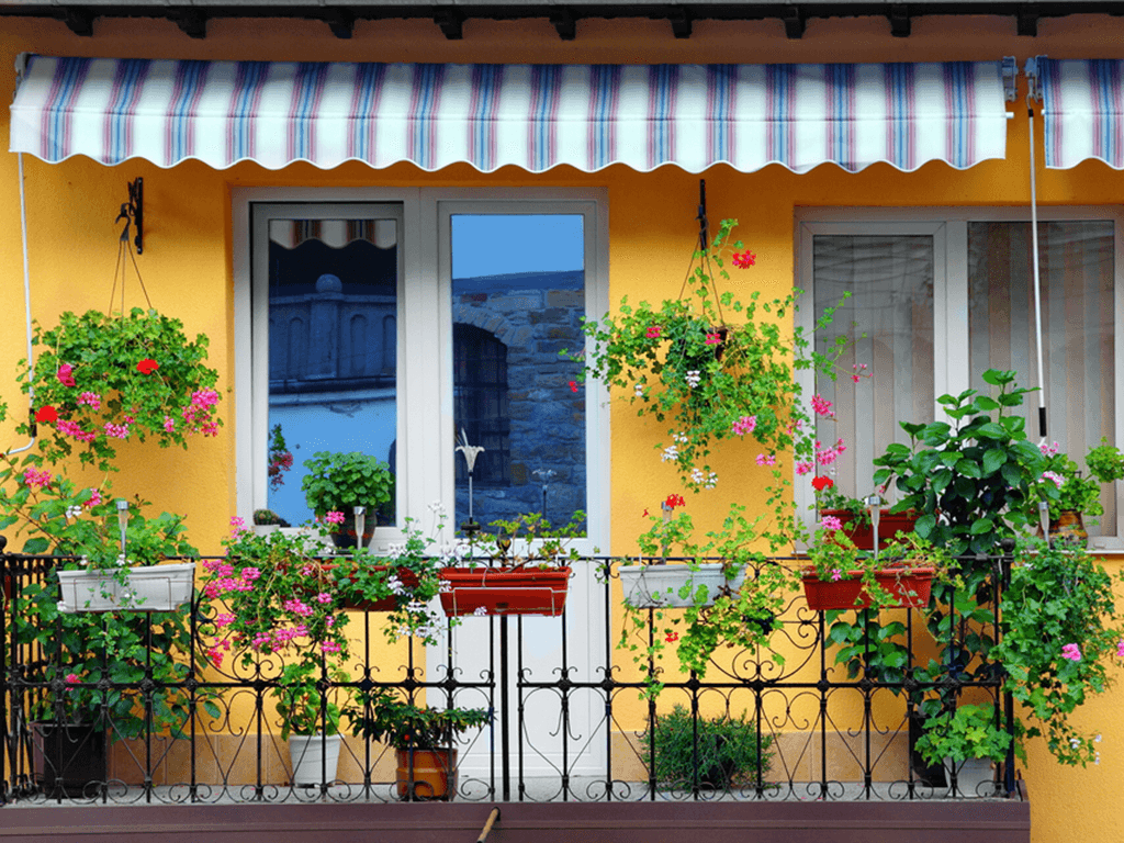 Balkonunuz için çiçekler ve saksılar