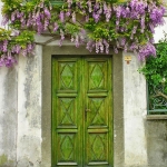 Yeşil kapı ve çiçekler