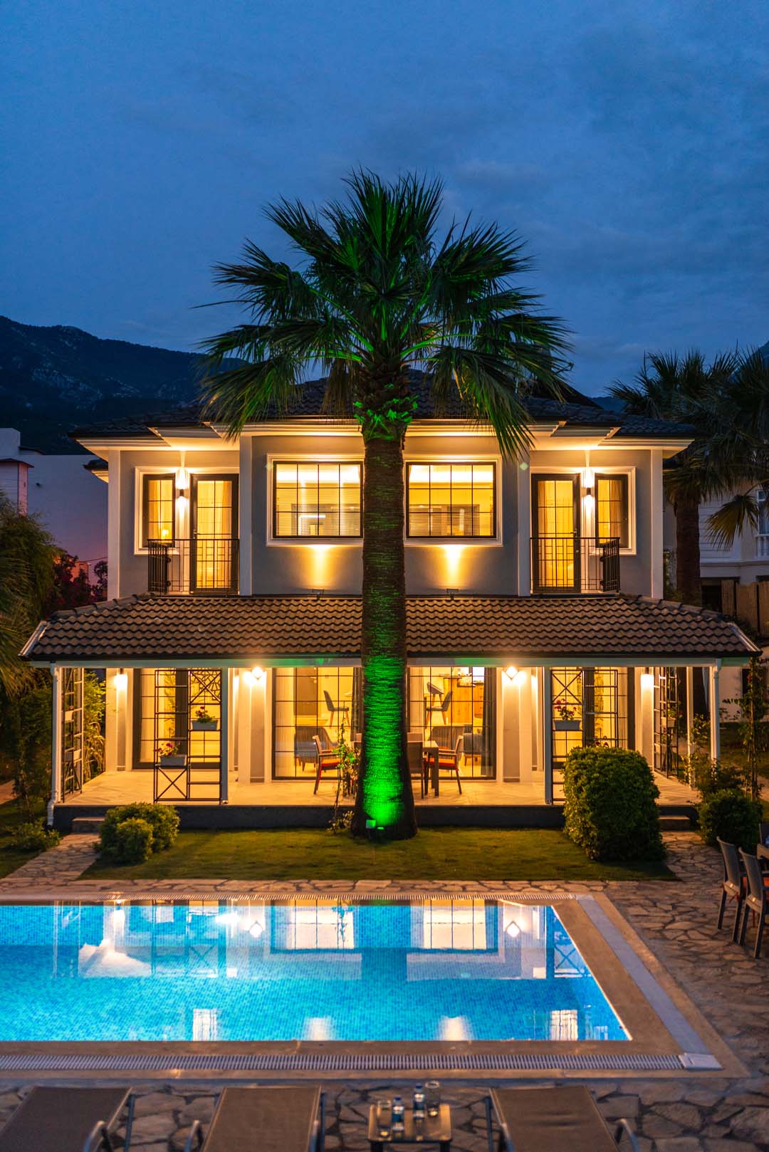 Villa bahçesi palmiye peyzajı
