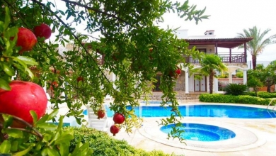 Meyve ağaçları ile villa bahçesi