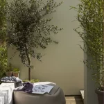 zeytin ağacı ve mobilya ile soluk yeşil-gri duvar