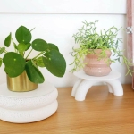 DIY yivli mini bitki standlarının iki farklı stili